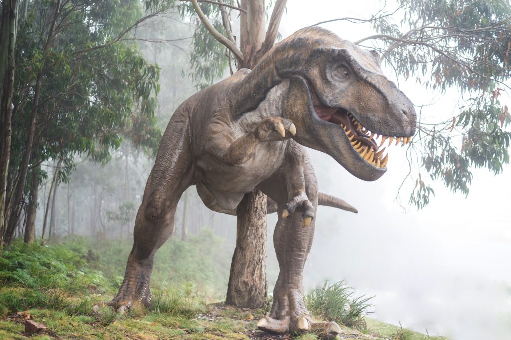 A T-Rex dinosaur